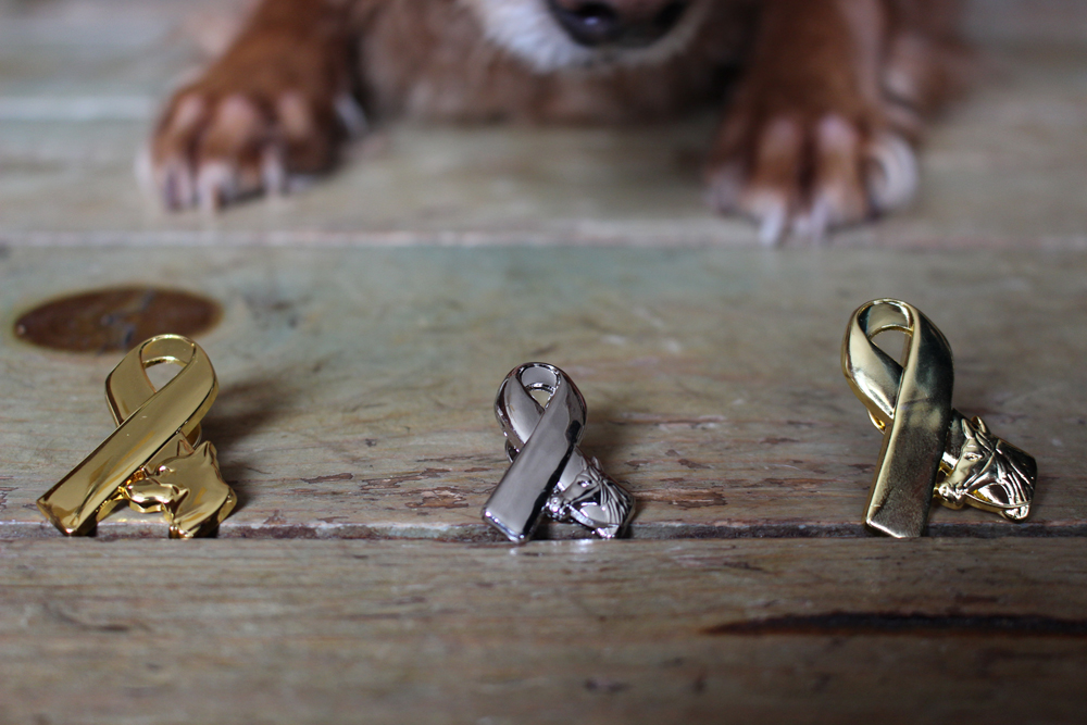 The Ontario SPCA and Humane Society has issued two new Remembrance Day pin designs. 
