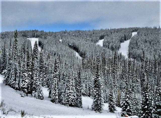 Snowmobilers on Baldy Mountain near Oliver, B.C., a ‘huge safety issue’ - image