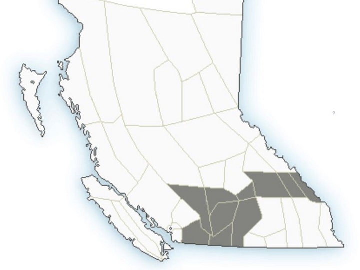 Regions under the statements include the Fraser Valley, the Fraser Canyon, South Thompson, Nicola, Similkameen, Okanagan, Shuswap, West and East Columbia and Yoho Park.