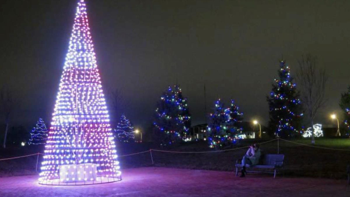 A Belleville city committee wants to tell the story of the annual Foster Christmas light display through a documentary.