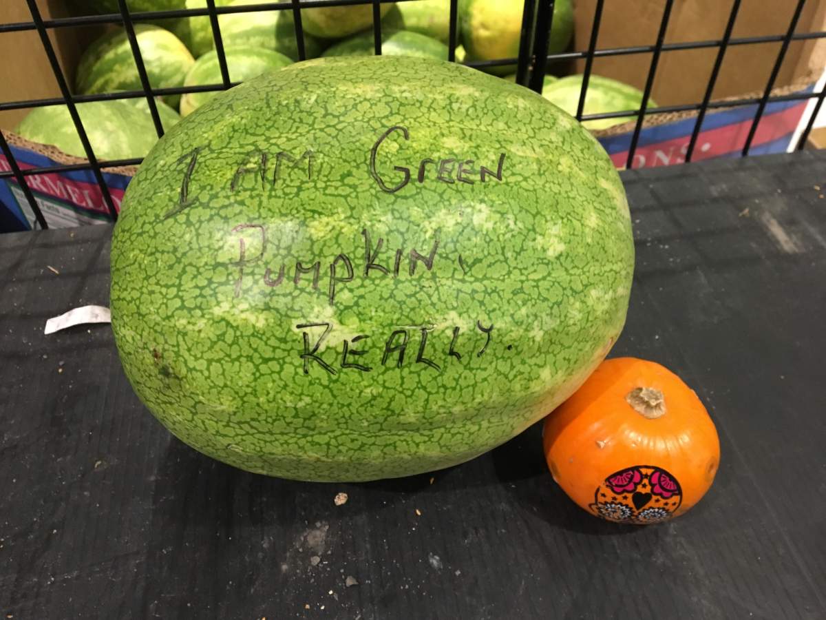 Don’t have a pumpkin this year? Use a watermelon instead!