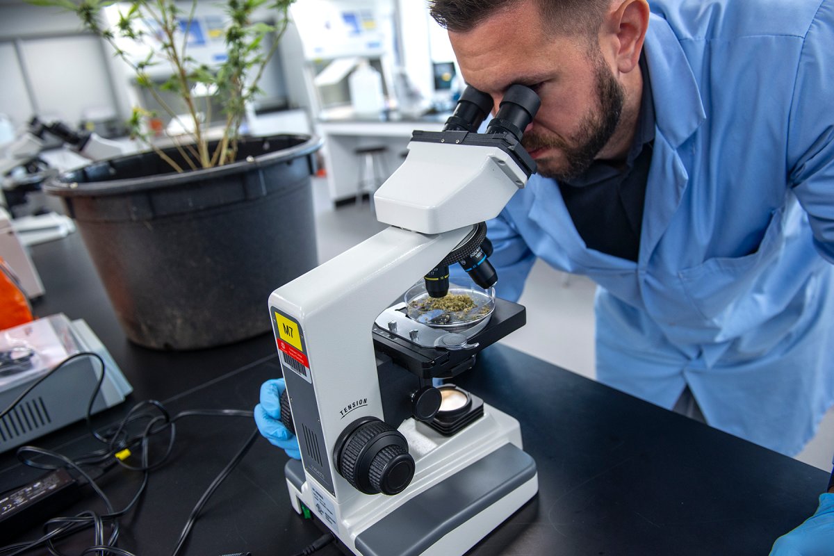 Fanshawe College's Cannabis Applied Science program will launch fall of 2020.