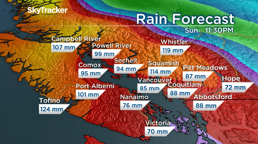 Prepare To Get Wet: Many Days Of Rain In The Forecast For Metro ...