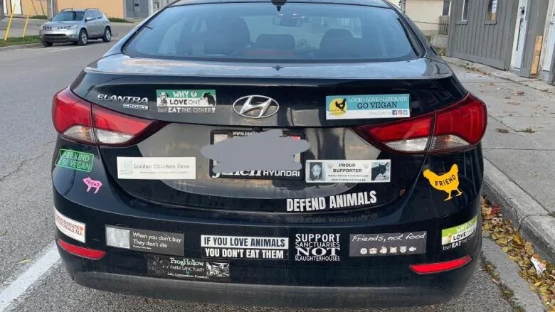 McCuiag's car is covered in bumper stickers relating to activating for animal rights. 
