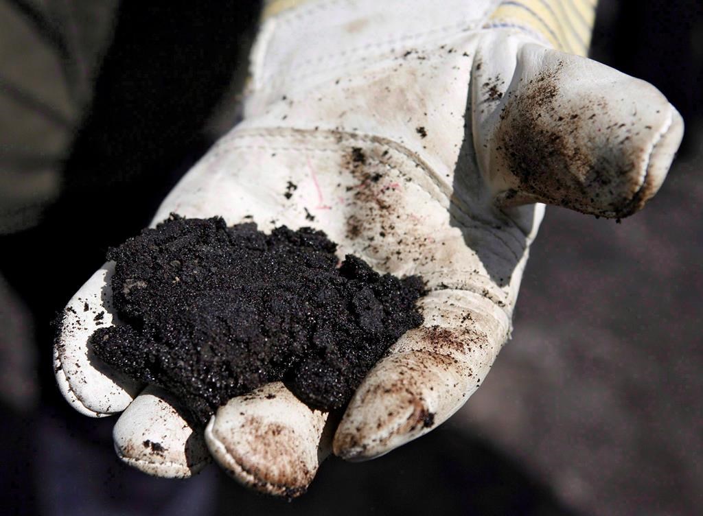 An oil worker holds raw sand bitumen near Fort McMurray, on July 9, 2008.THE CANADIAN PRESS/Jeff McIntosh.