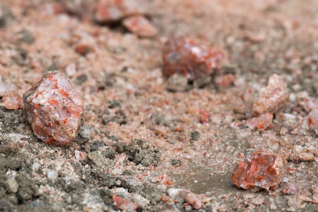 New highs were recorded in the province's potash sector last year regarding production and sales.