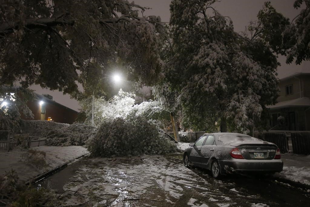 An early winter storm with heavy wet snow caused fallen trees, many on cars, and power lines in Winnipeg early Friday morning, October 11, 2019. Some areas of Manitoba are now watching rivers and lakes closely as the province warns rain could bring high water, or even flooding, 11 days after the province was hit by a devastating snowstorm.
