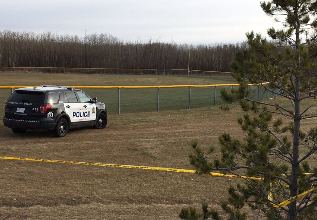 Police are investigating after a body was found in a baseball field near near 177 Street and 69 Avenue on Sunday, Oct. 27, 2019.