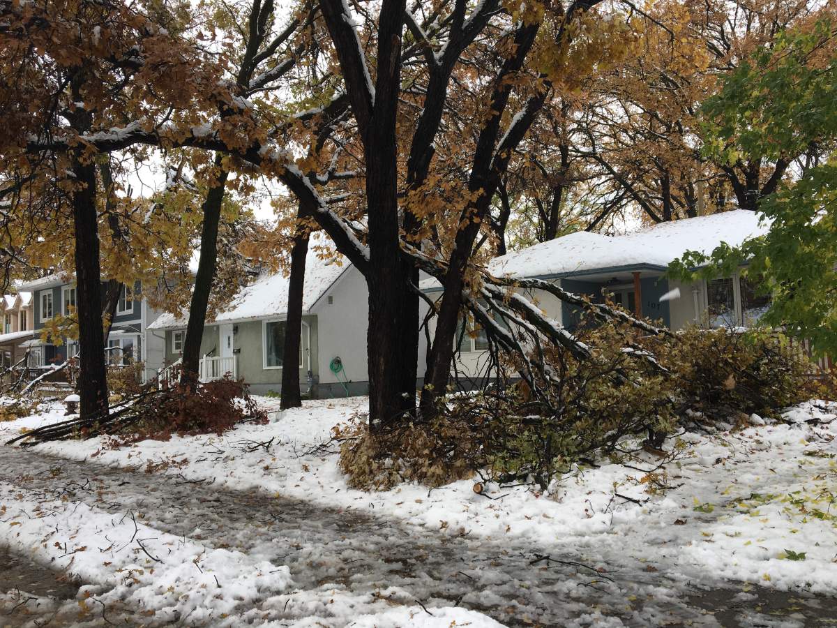 Global News / Abigail Turner