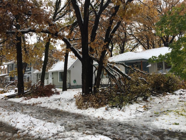 Winnipeggers clean up aftermath of massive October snowstorm Winnipeg