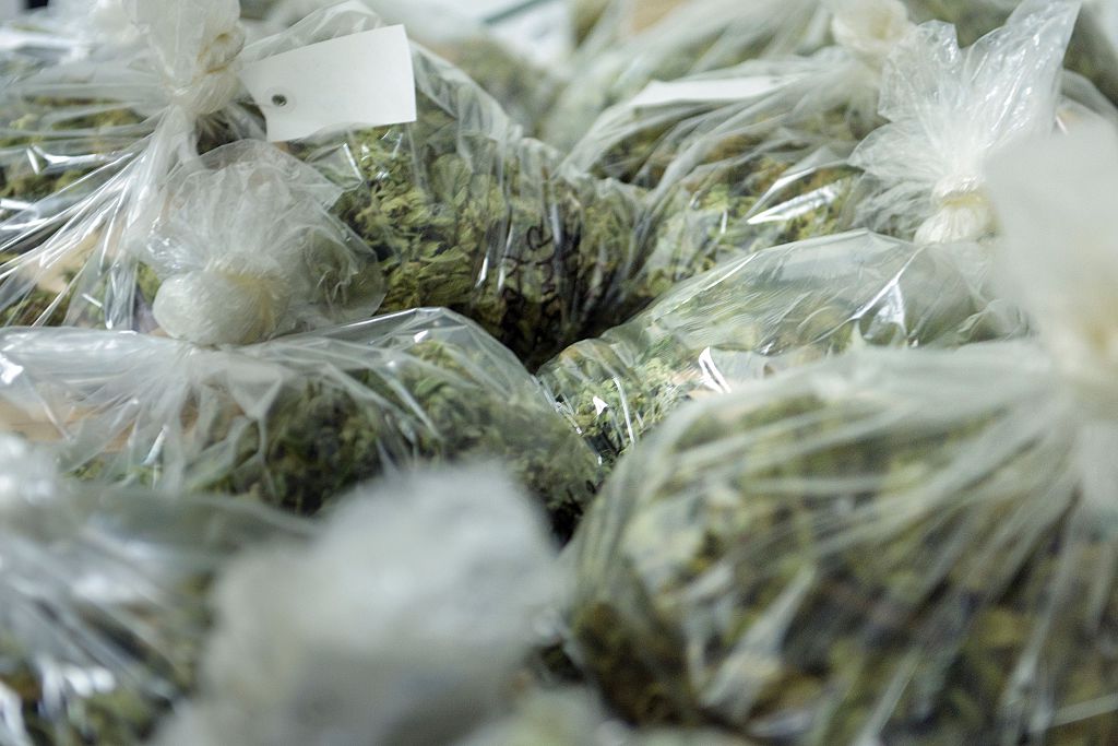 Bags of buds from marijuana plants are seen in this file image.