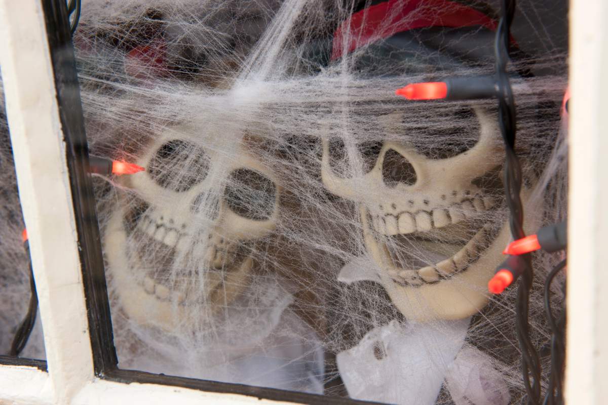 Fake cobwebs and other Halloween decorations could be damaging wildlife.
