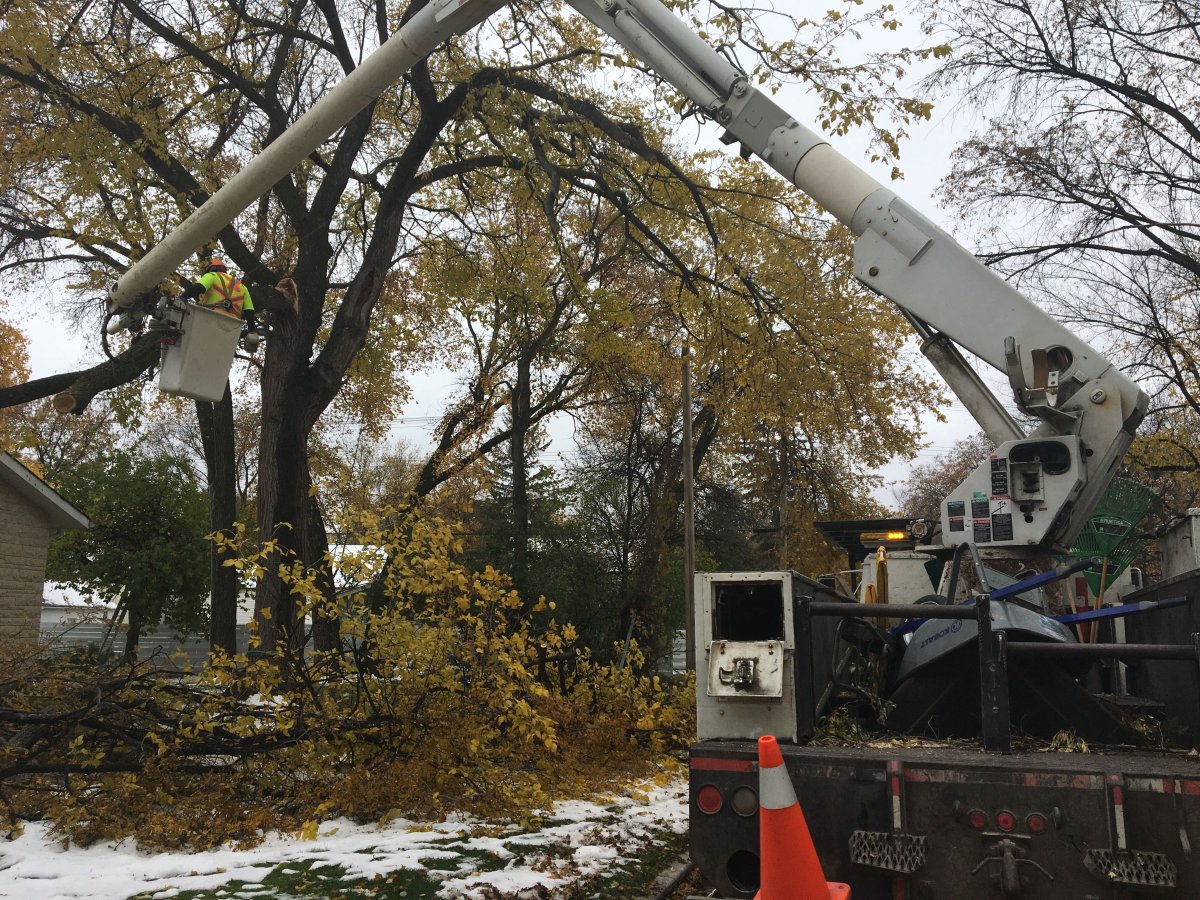 Crews are kept busy cleaning up downed trees in Winnipeg Tuesday. About 13,000 remained without power across Manitoba.