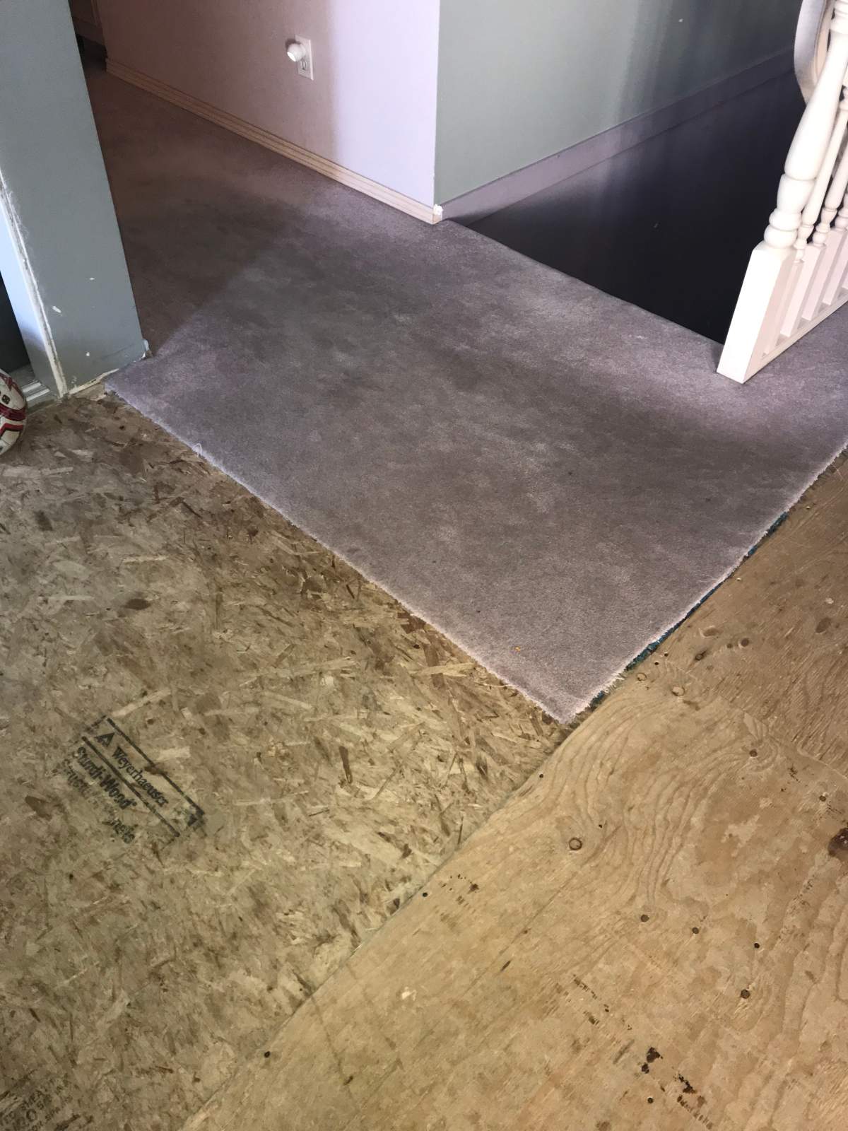 Program grants wishes for Saskatchewan women with life-threatening cancer - image