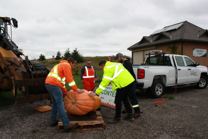 According to the city, Barrie's winning entry weighed 293.5 pounds.