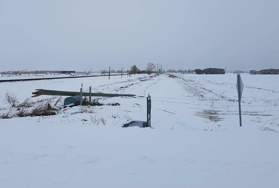 Downed Hydro poles near Portage la Prairie.