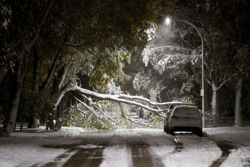 An early winter storm with heavy wet snow caused fallen trees, many on cars, and power lines in Winnipeg early Friday morning, October 11, 2019. Snow clearing crews were forced to hit the streets to clean up the damage. THE CANADIAN PRESS/John Woods.