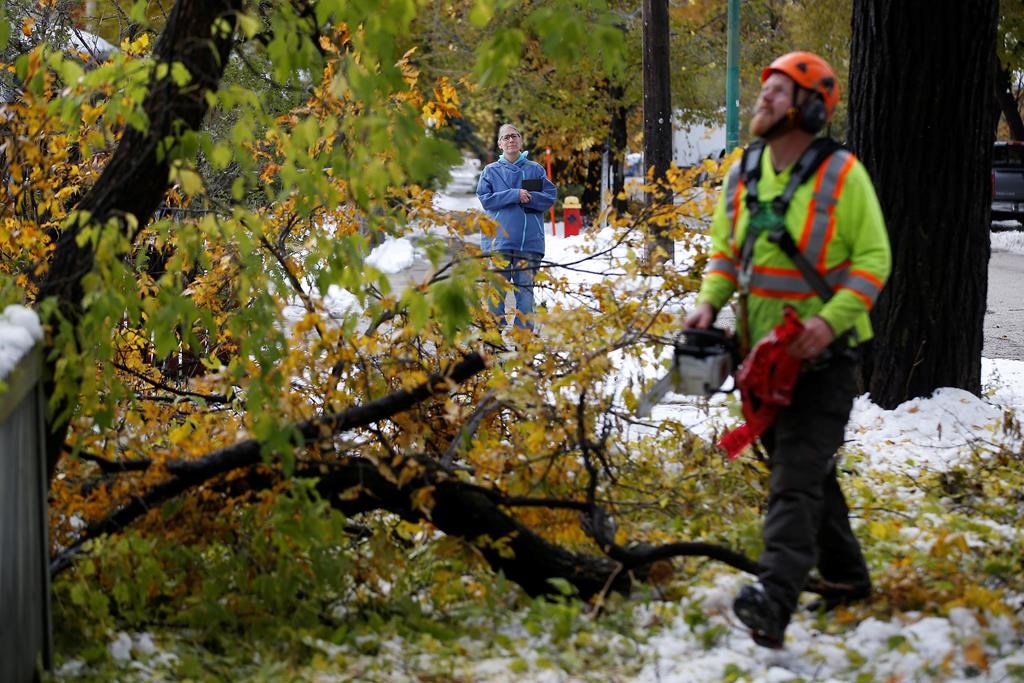 Crews cleanup after a snow storm which hit parts of Manitoba Thursday and Friday in Winnipeg on Sunday, October 13, 2019. THE CANADIAN PRESS/John Woods.