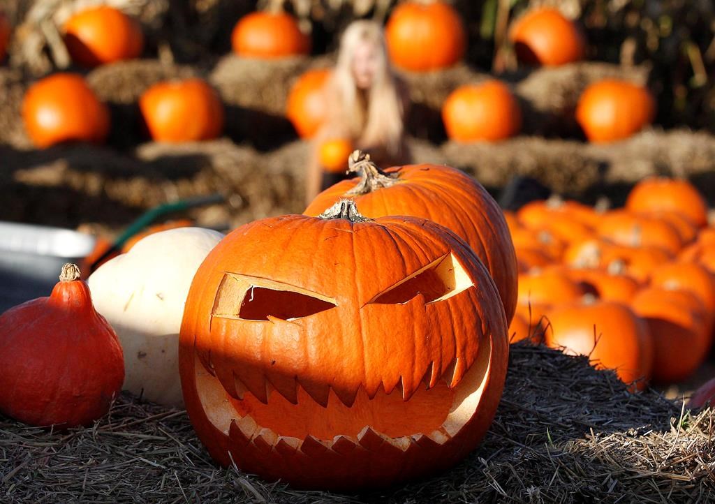 Port Hope police are investigating a series of mischief involving pumpkins being smashed and featuring racial slurs.