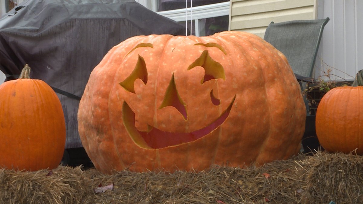 Looking to get rid of a jack-o-lantern now that Halloween's over? .