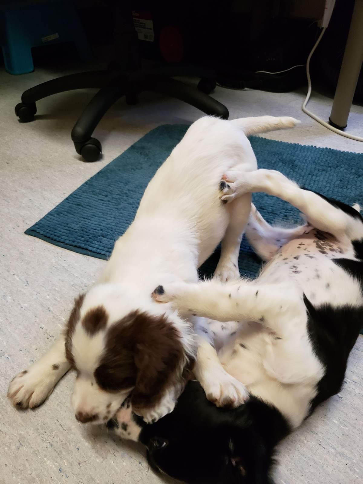 Vancouver Coastal Health