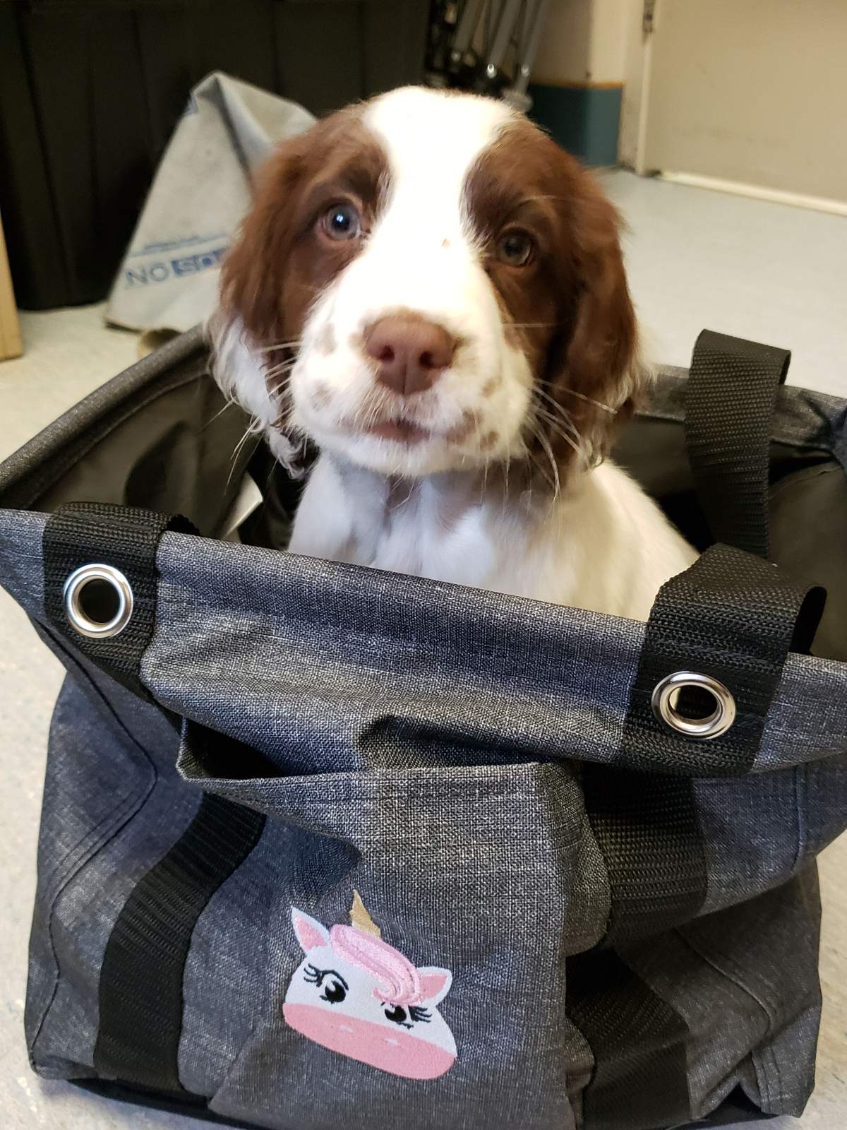 Vancouver Coastal Health