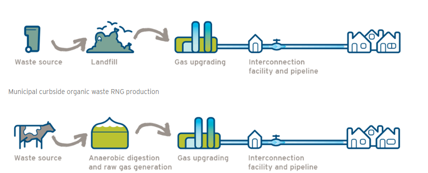 How renewable natural gas is made.