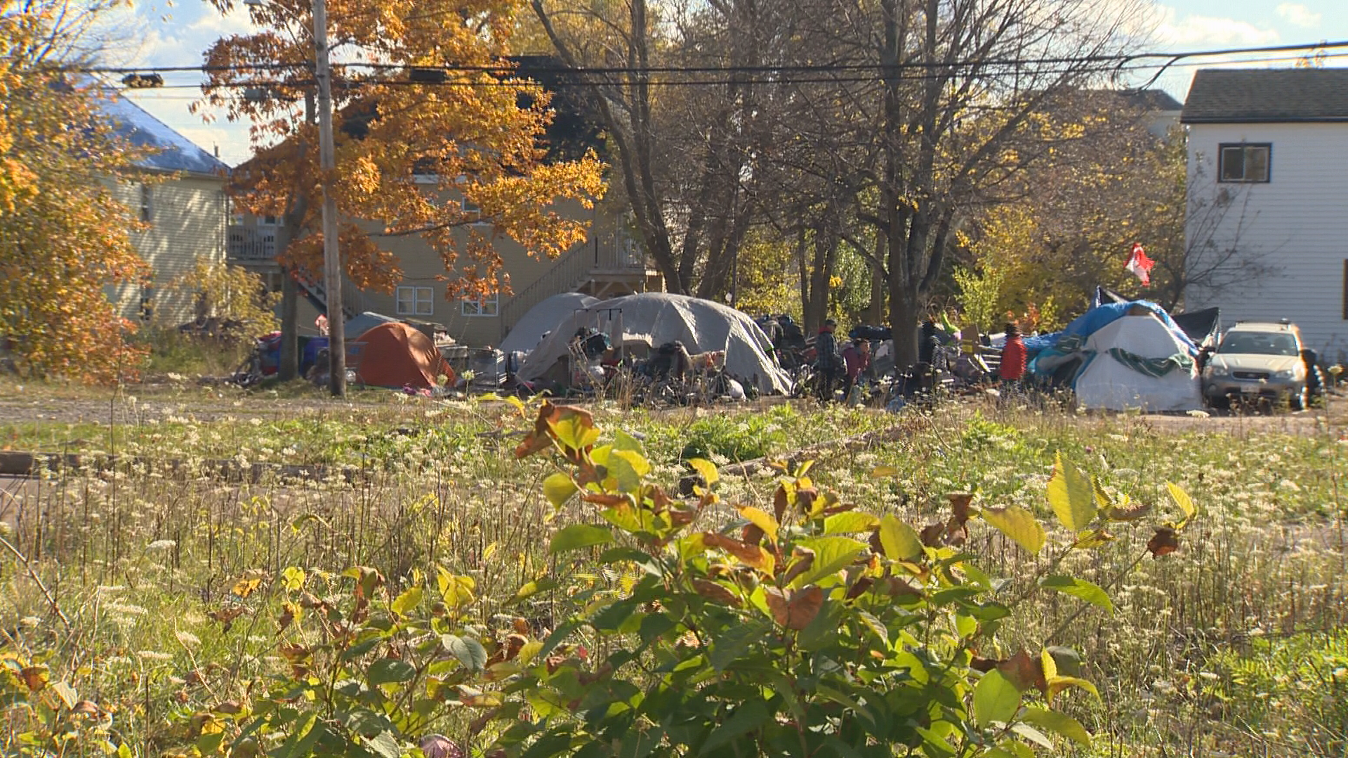 ‘We’ve Seen Fights’: Neighbours Concerned About Tent Camp In Downtown ...