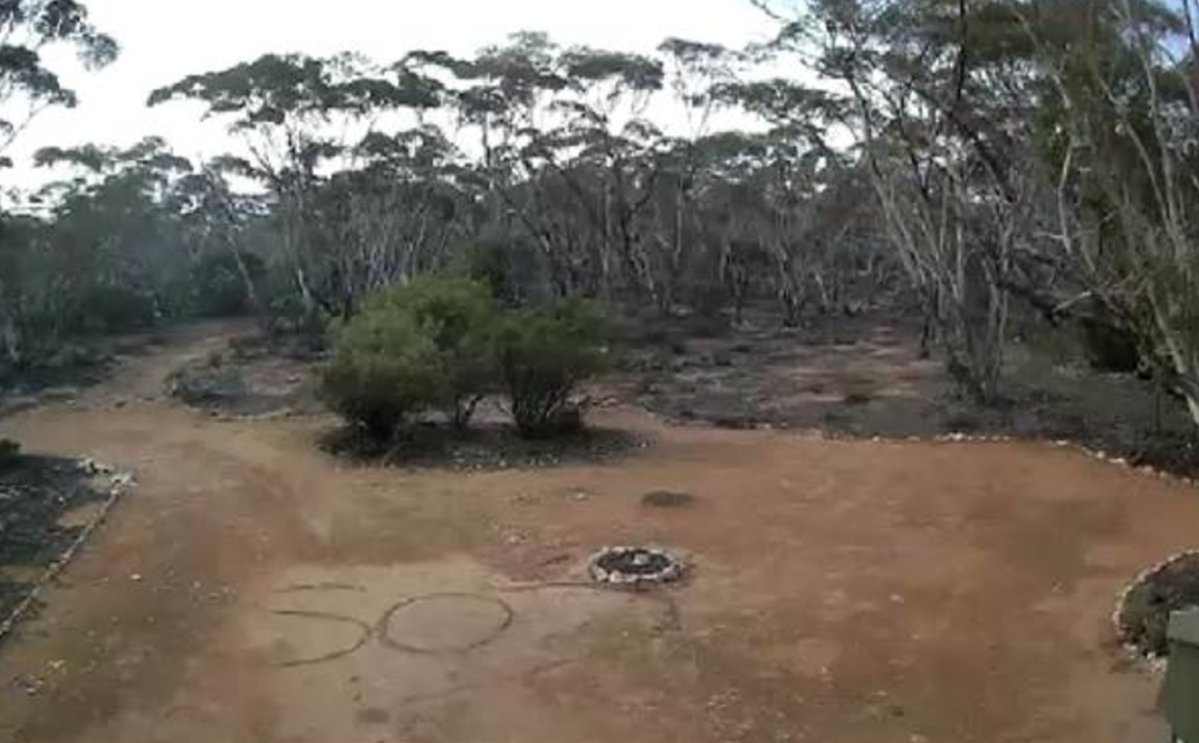 Deborah Pilgrim wrote "SOS" in the dirt on a Sedan, Australia, property, and her message was later discovered on the landowner's CCTV.