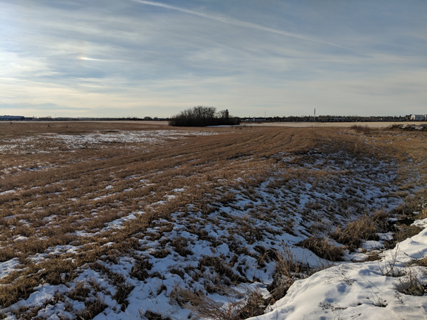 A 153-acre piece of land south of Ellerslie Road, between 91 Street SW and 101 Street SW, in south Edmonton being sold by the Alberta government.
