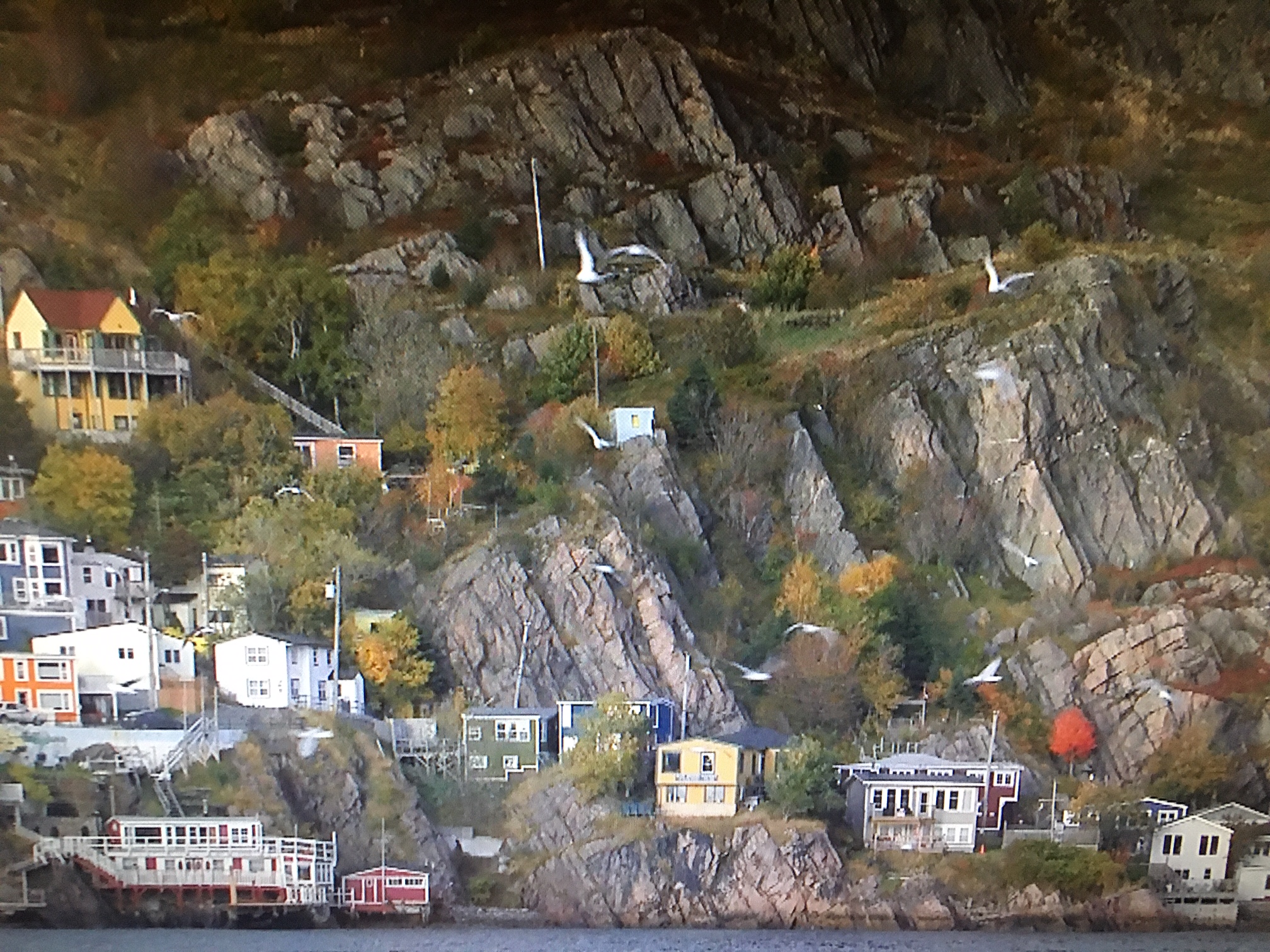 what is the nickname of newfoundland and labrador