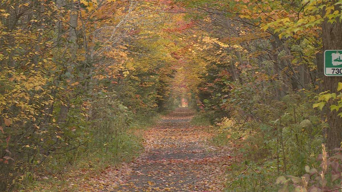 New Brunswick Trails in autum