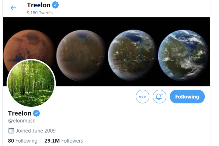 Treelon' Musk donates $1M to plant a trees viral cause - National | Globalnews.ca