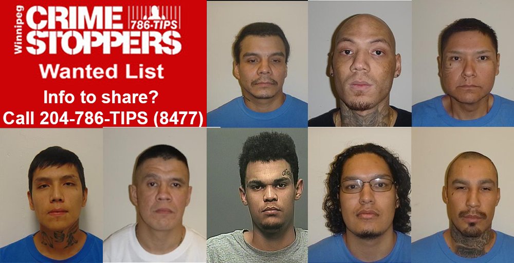 Have you seen these men? Winnipeg’s latest most wanted list - image