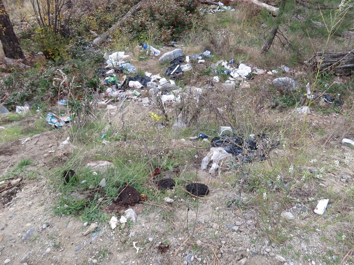 The B.C. Conservation Service says the bear killings were preventable had a local business better managed its garbage.