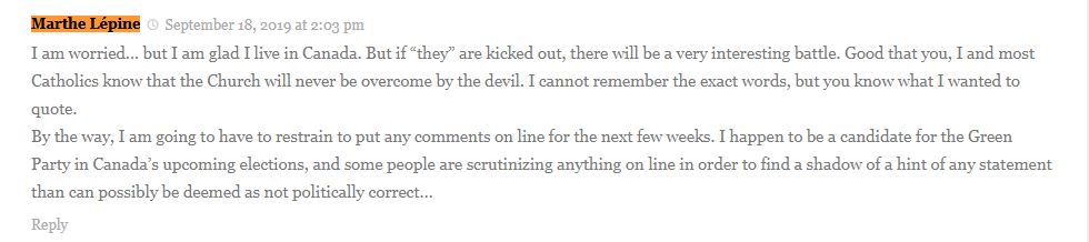 In a post on an article from Wherepeteris.com, Lepine writes that she needs to restrain her comments because she is running for the Green Party.