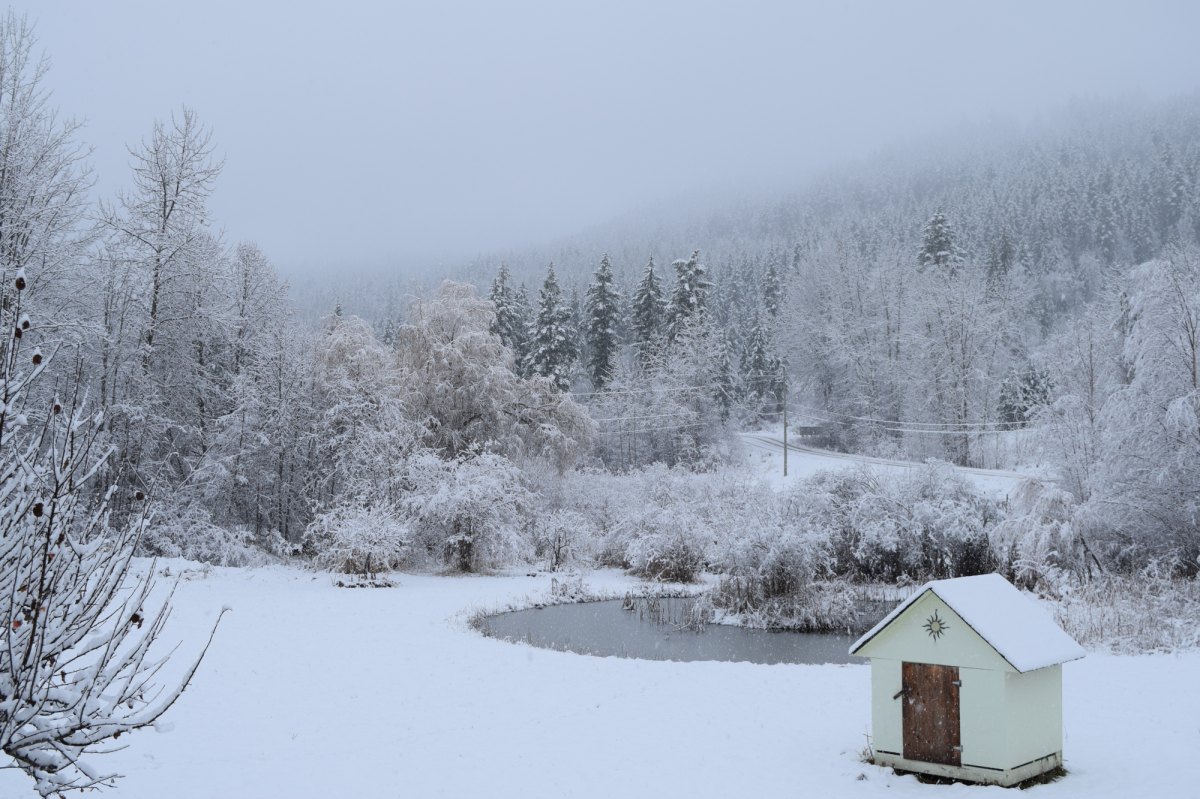 Some residents in the B.C. Interior woke up to a winter wonderland. 