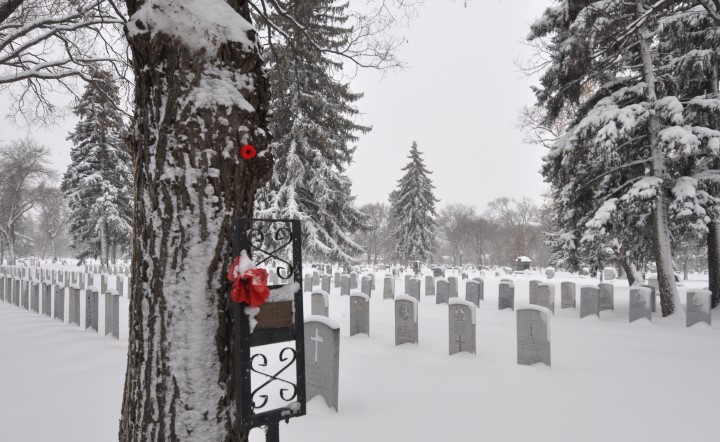 Ian Robertson took the November 11 Your Saskatchewan photo of the day in Saskatoon.