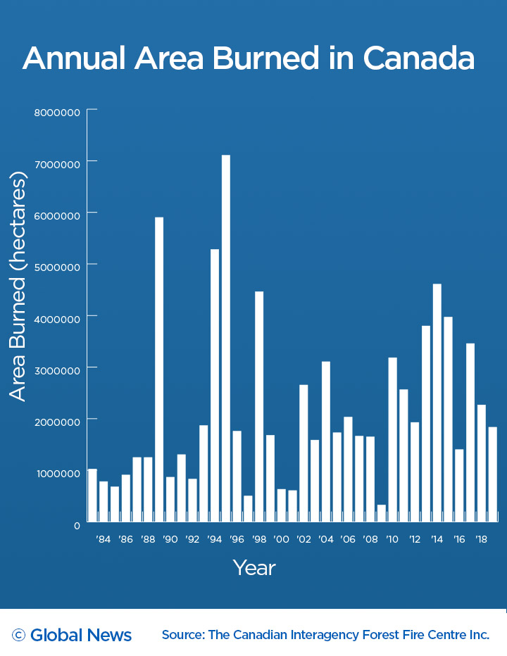 You’ve heard of the Ice Age. A fire historian says we’re in the age of fire - image