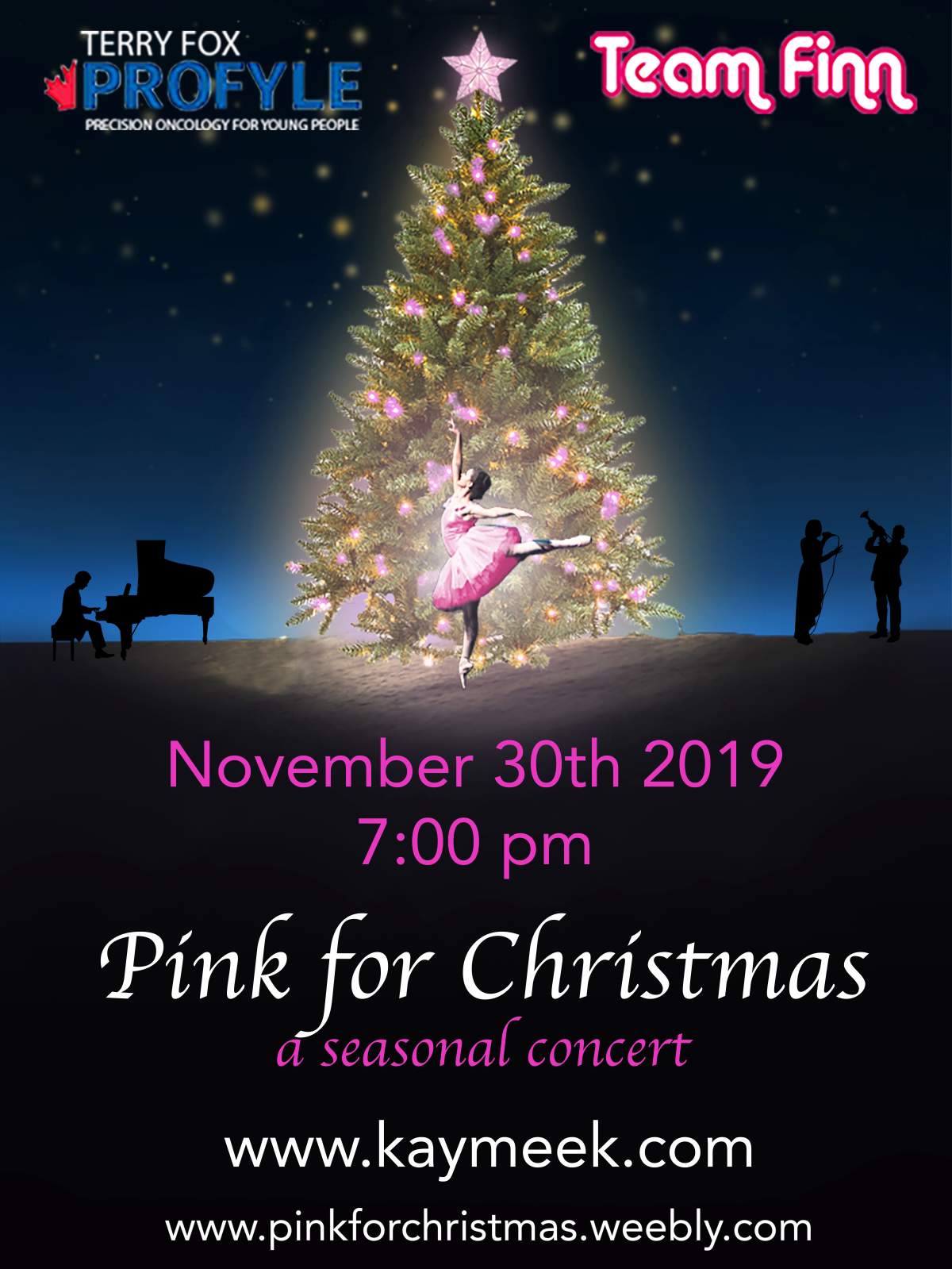 Pink for Christmas - image