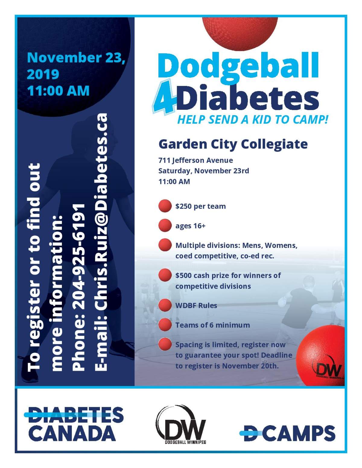 Dodgeball 4 Diabetes - image