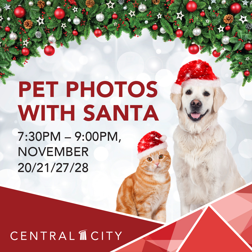 Pet Photos with Santa - image