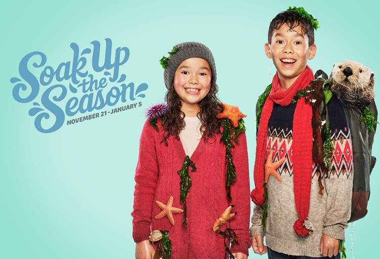 Soak up the Season at the Vancouver Aquarium - image