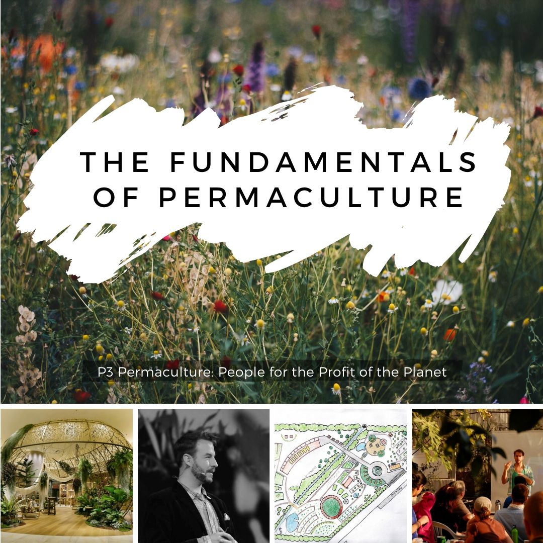 The Fundamentals of Permaculture - image