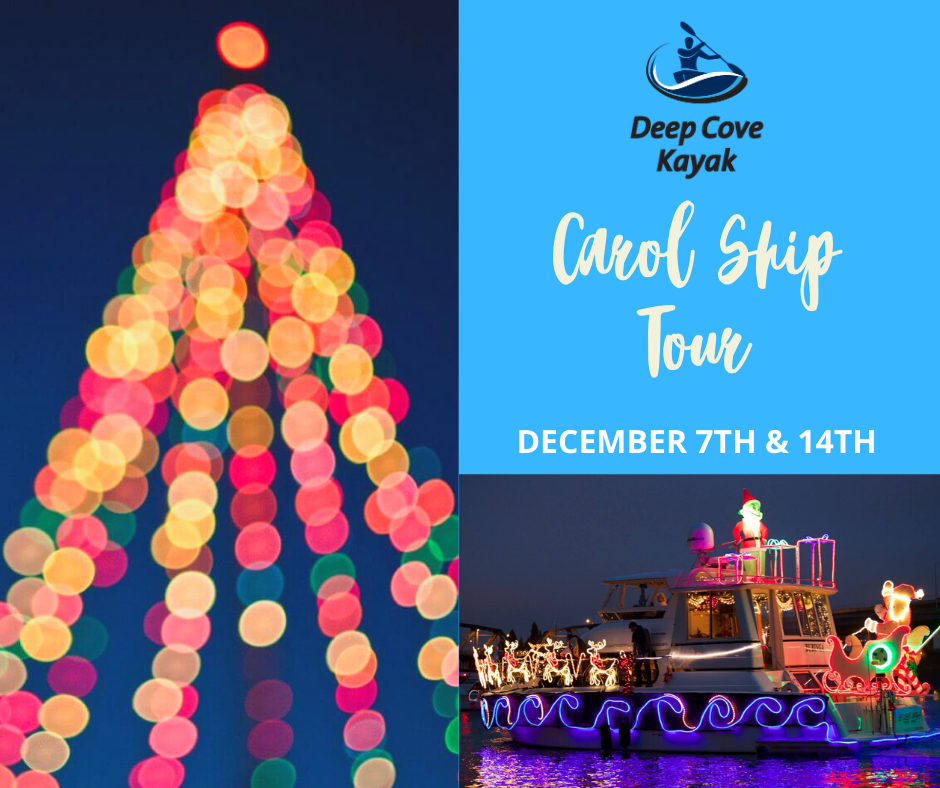 Deep Cove Kayak Carol Ship Tour - image