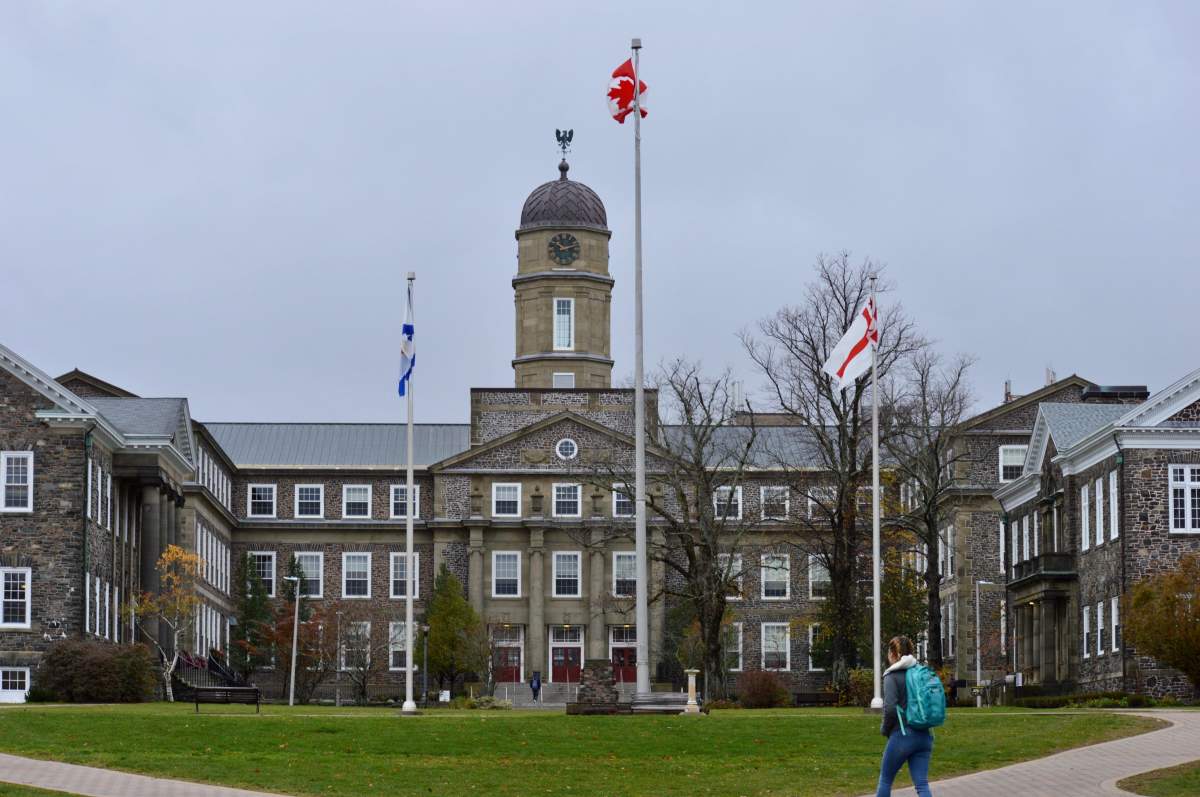 A student walks towards the Henry Hicks Building at Dalhousie University in Halifax, N.S., on Nov. 8, 2019.