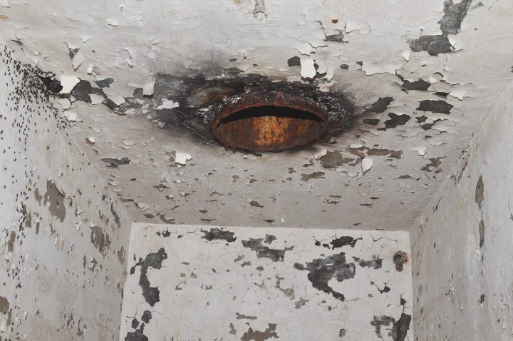 Millions of ants fell down this pipe and could not return to their colony. They could crawl up the walls but they couldn’t re-enter the pipe.