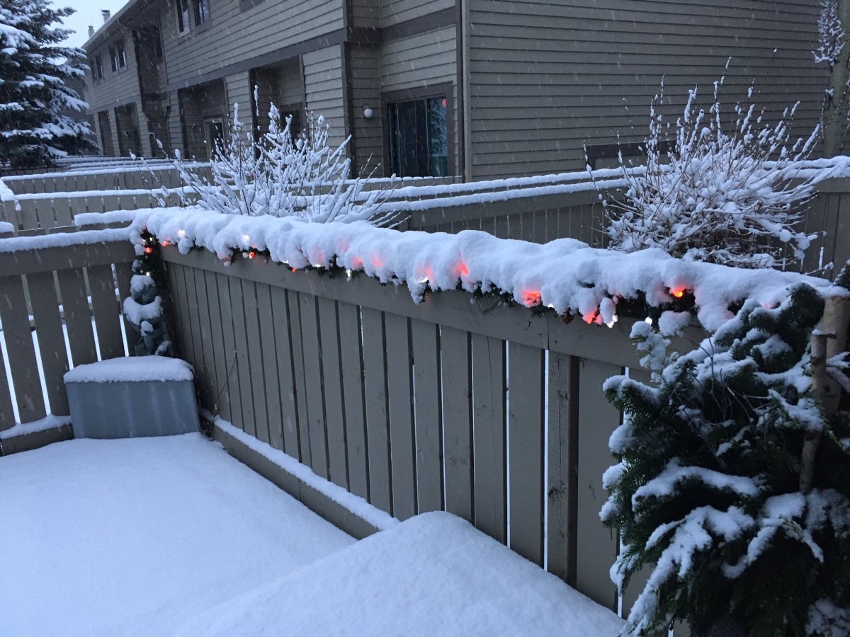 Snow in Calgary, Alta. on Tuesday, November 19, 2019.