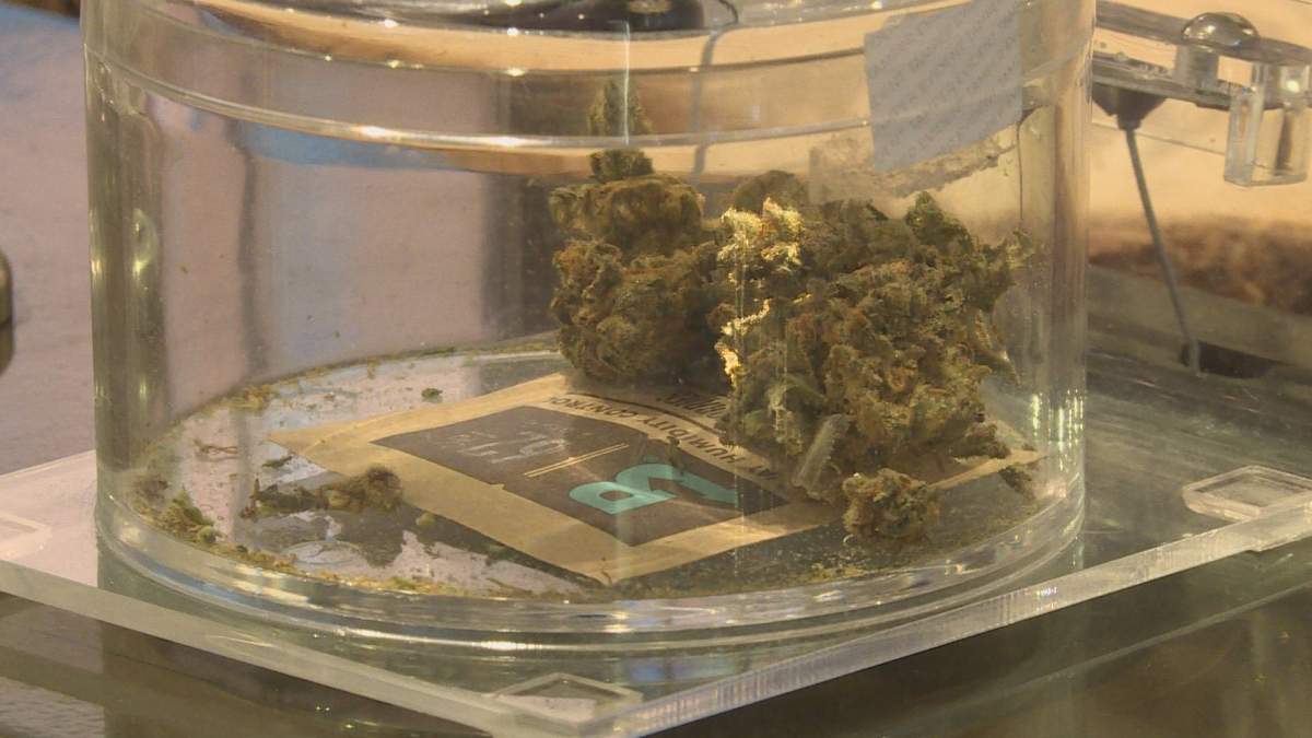 Vernon is changing its cap on downtown pot shops. 