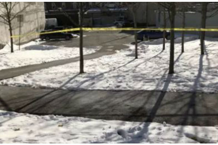 The deceased has been identified as Ryan Babineau, police say, and a post-mortem examination has determined that he died from fatal stab wounds.